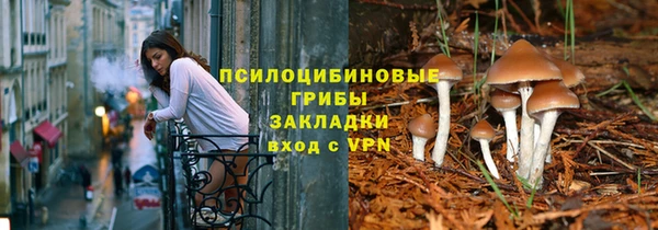 альфа пвп Дмитровск